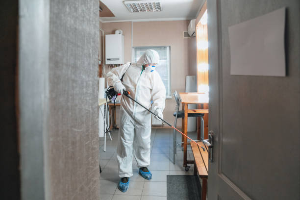 Best Black Mold Removal  in Littleton, CO
