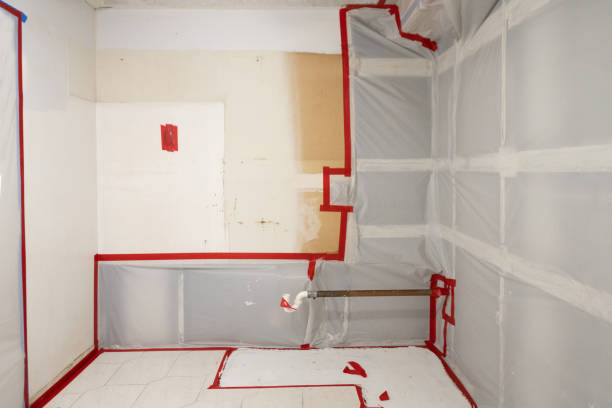 Best Asbestos and Lead Testing During Mold Inspection  in Littleton, CO