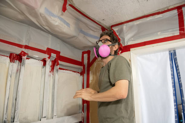 Biohazard Mold Removal in Littleton, CO