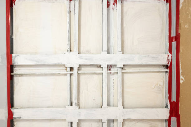 Best Basement Mold Removal  in Littleton, CO