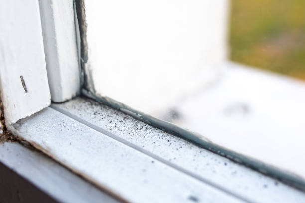 Best Airborne Mold Testing  in Littleton, CO