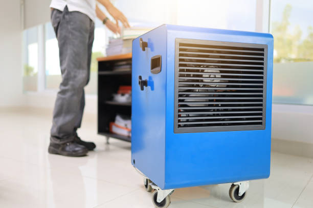 Best Forensic Mold Investigation  in Littleton, CO