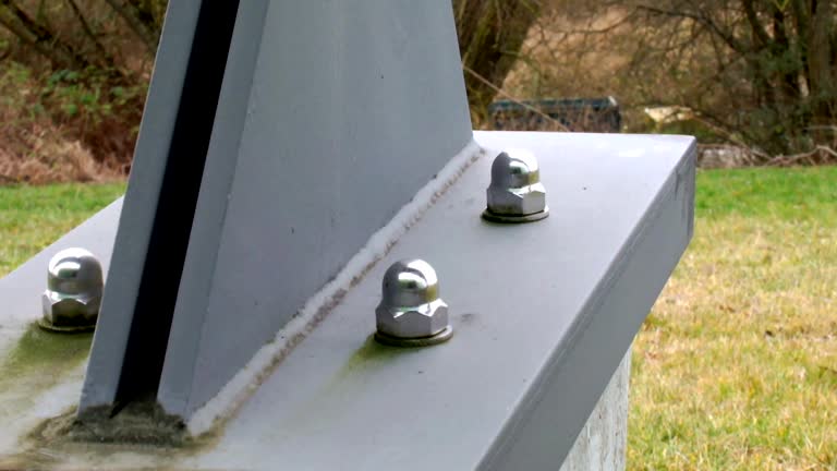Environmental Consulting for Mold Prevention in Littleton, CO